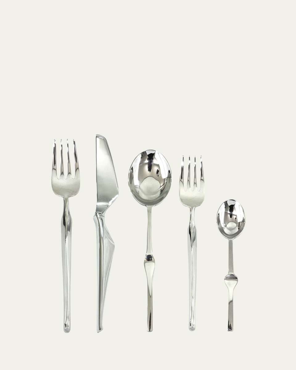 Ergonomica 5-Piece Flatware Set